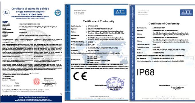 ATEX Sertifikalı Kömür Madenciliği Lambası 7.8Ah Lityum İyon Şarj Edilebilir Kafa Lambası, IP68 Korumalı 6